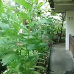 Ben Guesthouse & Restaurant