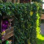 Baan Ha Guest House