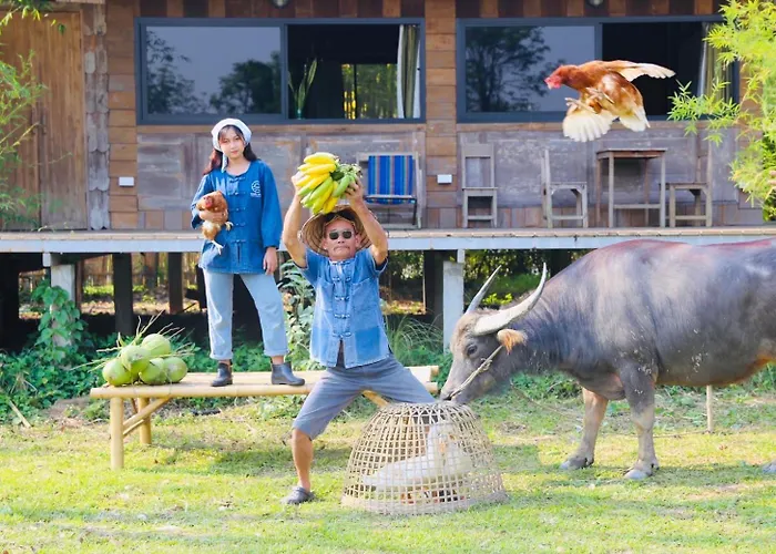 Hang Tueng Farm Stay Chiang Mai แฮงตึง ฟาร์มสเตย์ เชียงใหม่