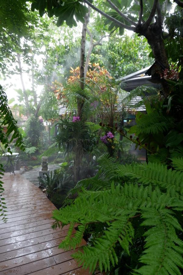 42 Garden Pool Chiang Mai