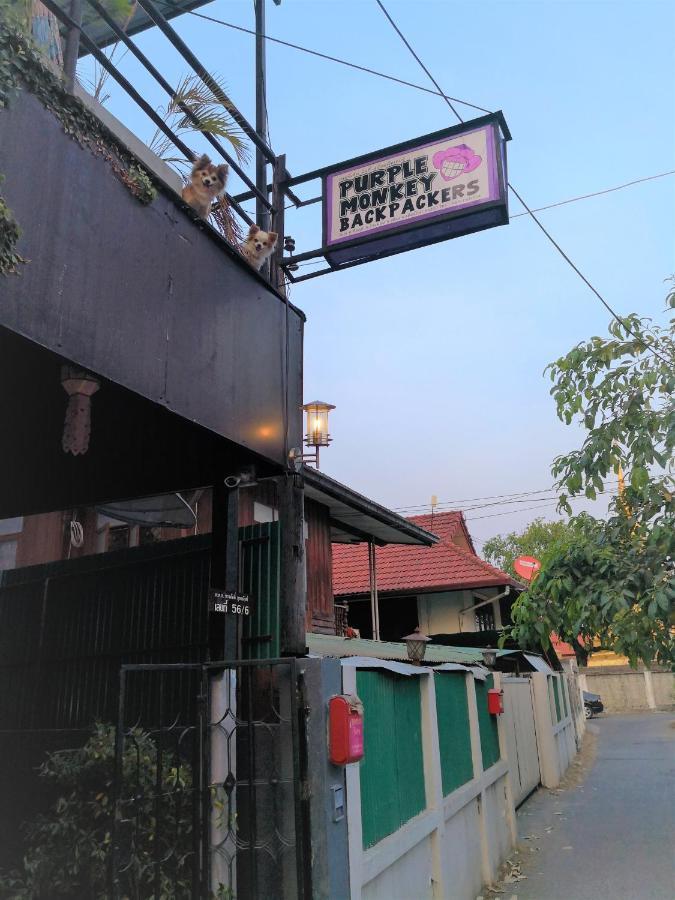 Hostel Purple Monkey Backpackers