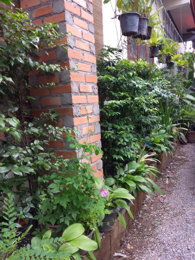 Chom Chan & Chiang Mai