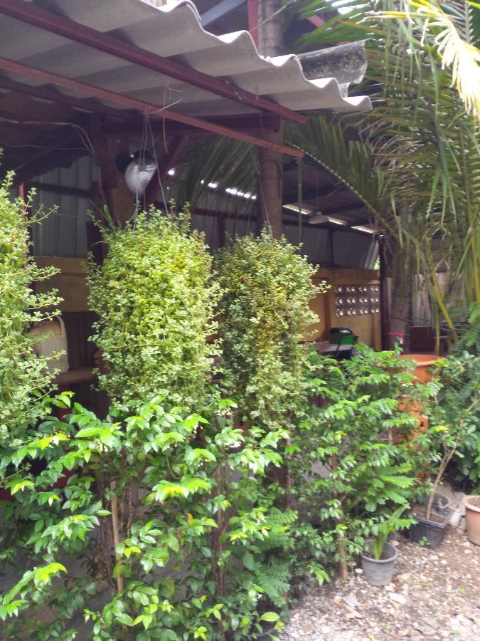 Chom Chan & Chiang Mai