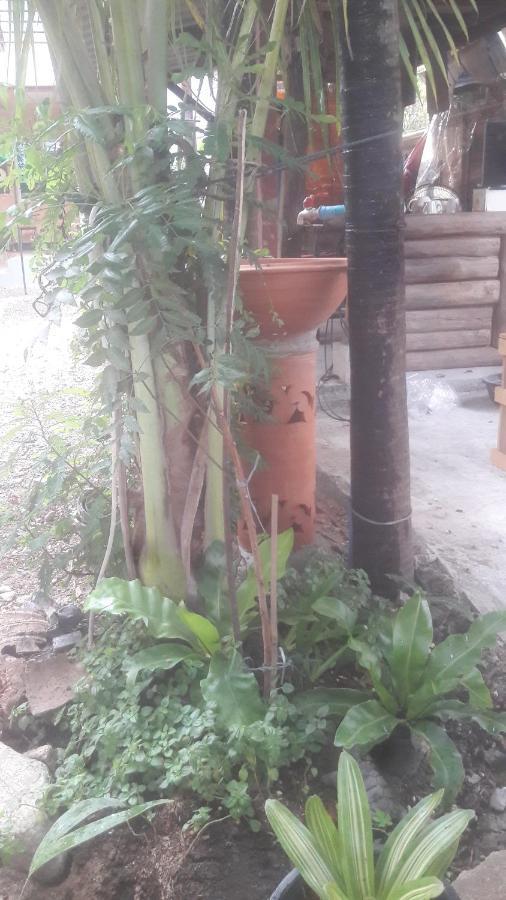 Chom Chan & Hostel Chiang Mai