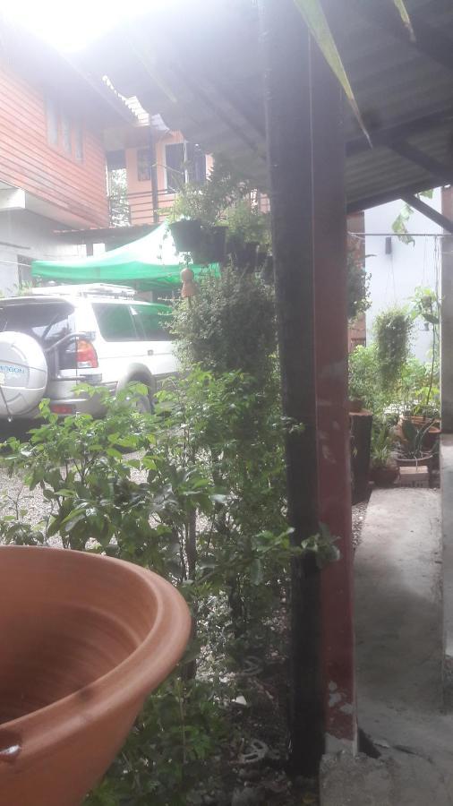 Chom Chan & Chiang Mai