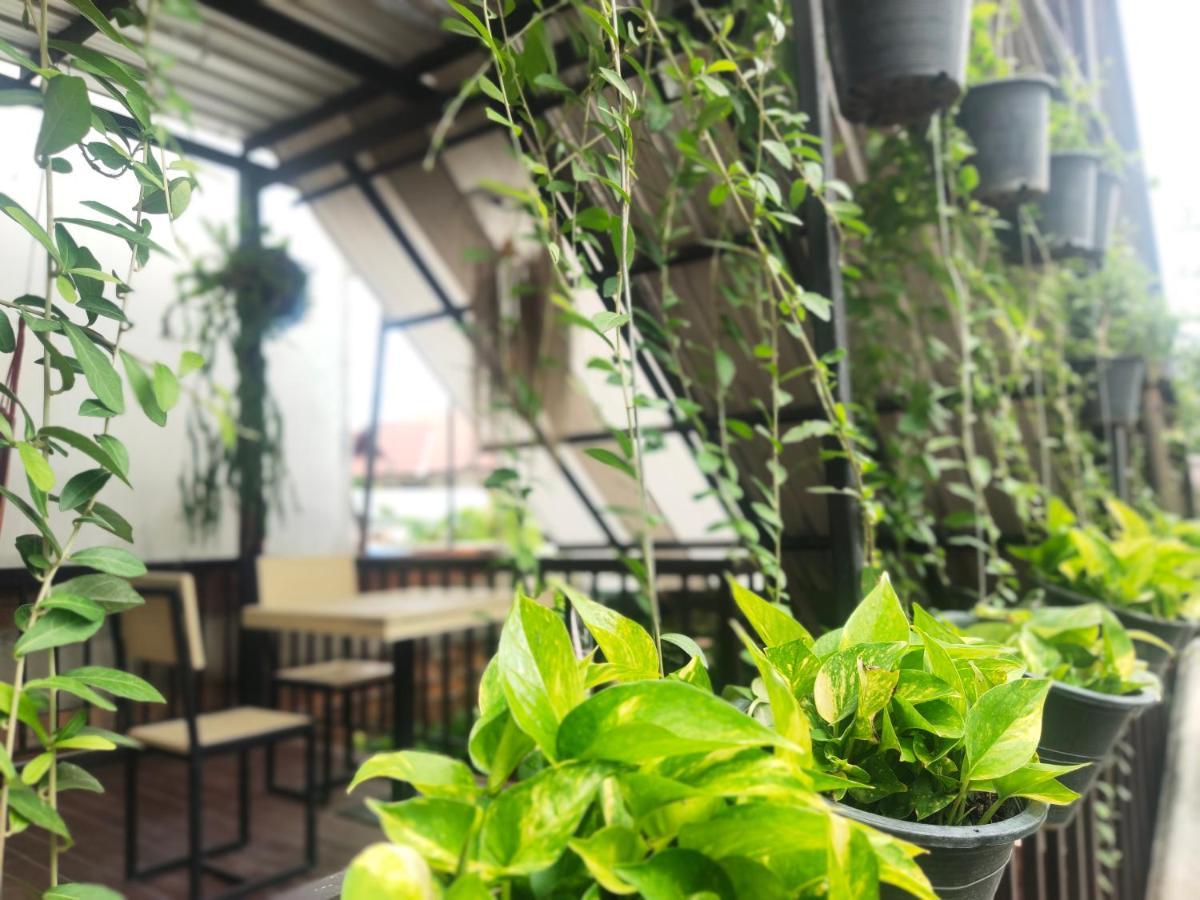 Nai Wiang Poshtel * Chiang Mai