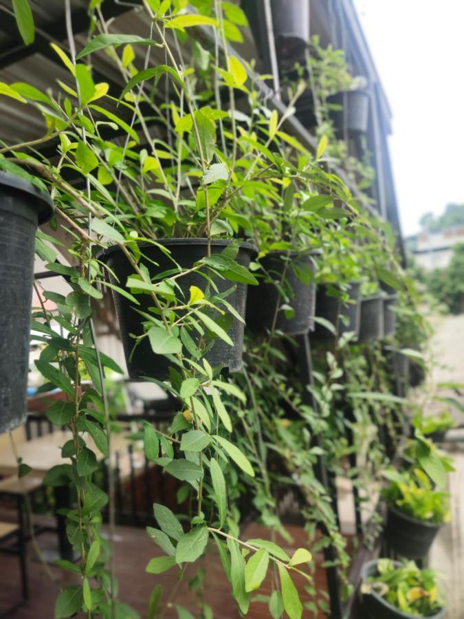 Nai Wiang Poshtel Hostel