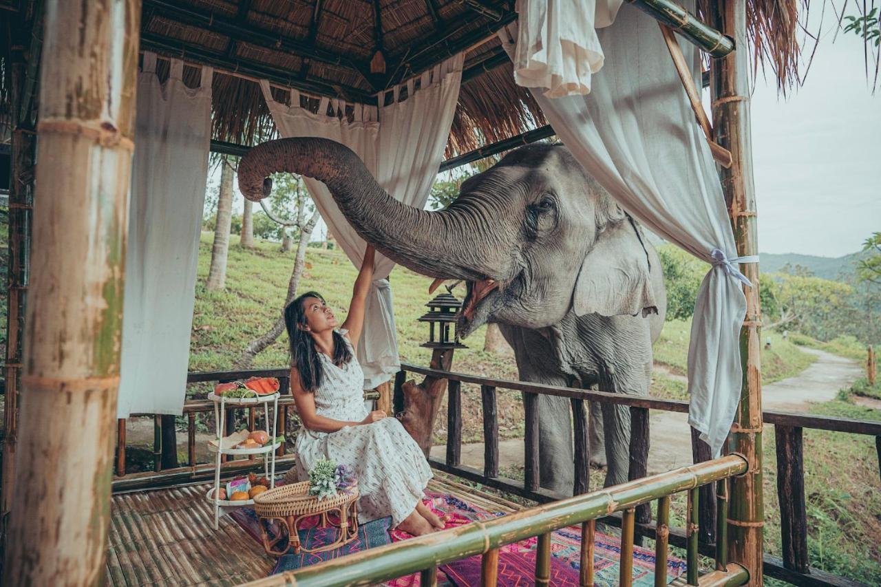 Chai Lai Orchid Hotel Chiang Mai