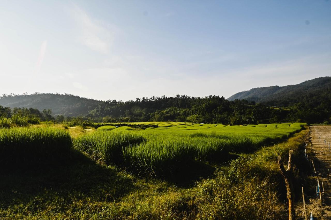 Aomlonghomenon Gasthof Chiang Mai