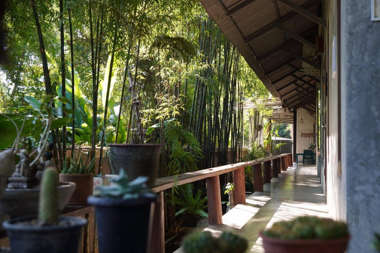 Wanmai House Homestay Chiang Mai