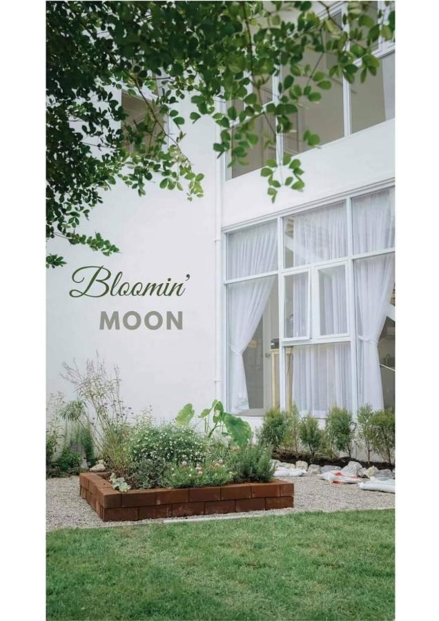 Bloomin' Moon & Cafe, Old Town Albergue Chiang Mai