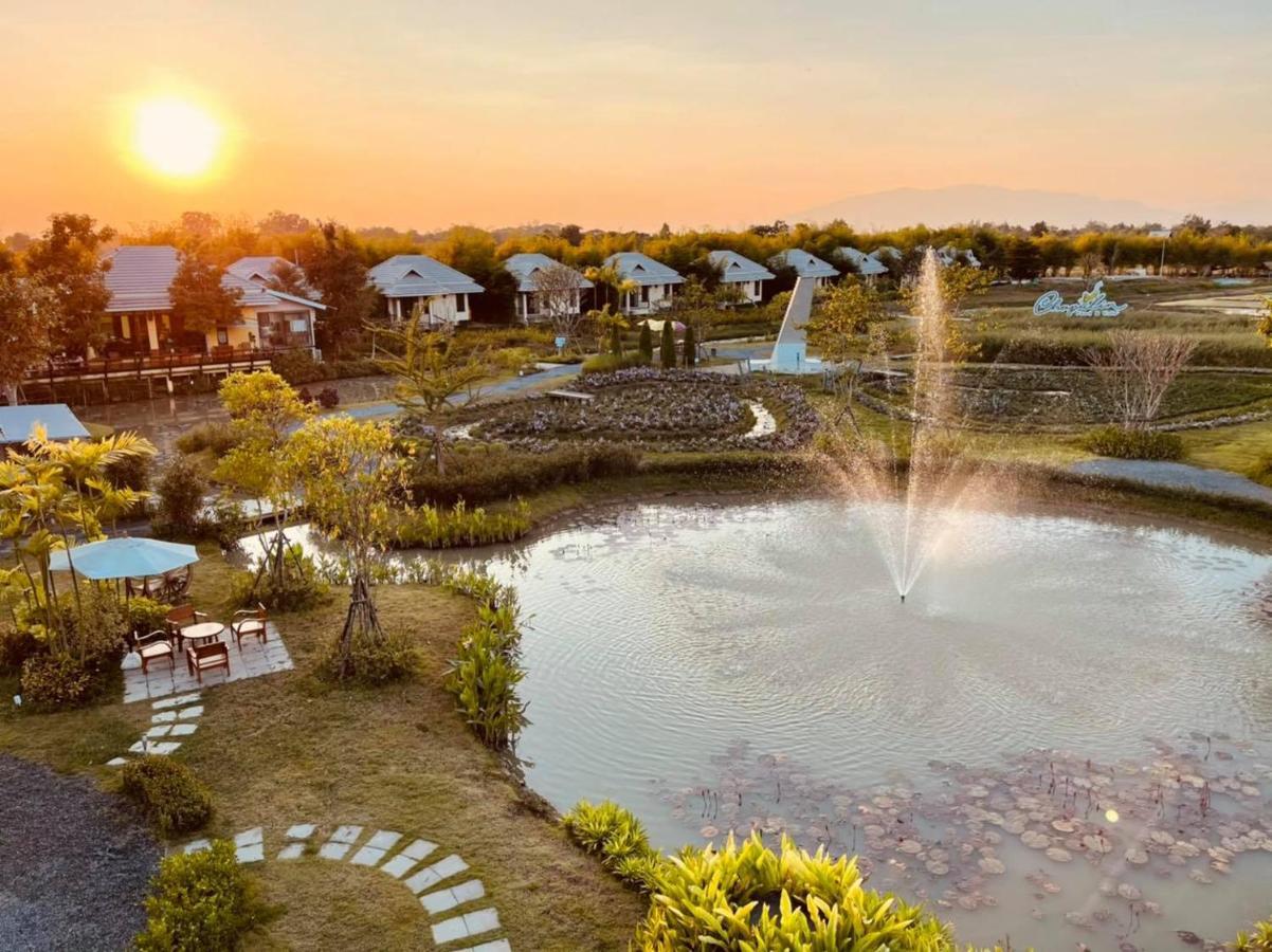 Hotel Chapulin Natural