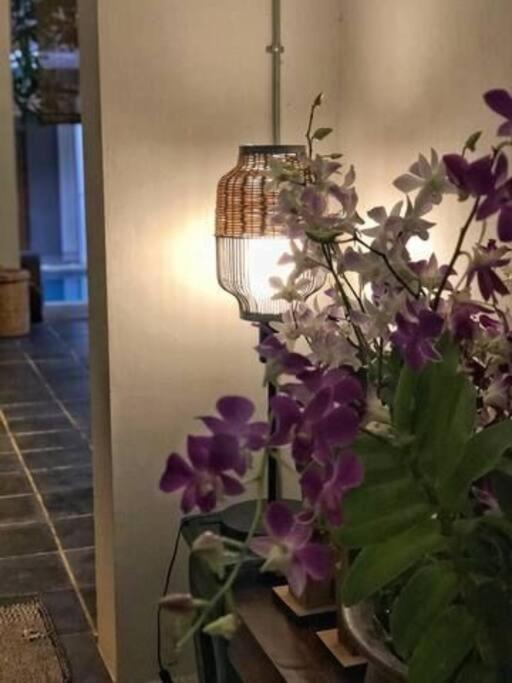 Chiangmai清迈 Cozy Pool 8rooms