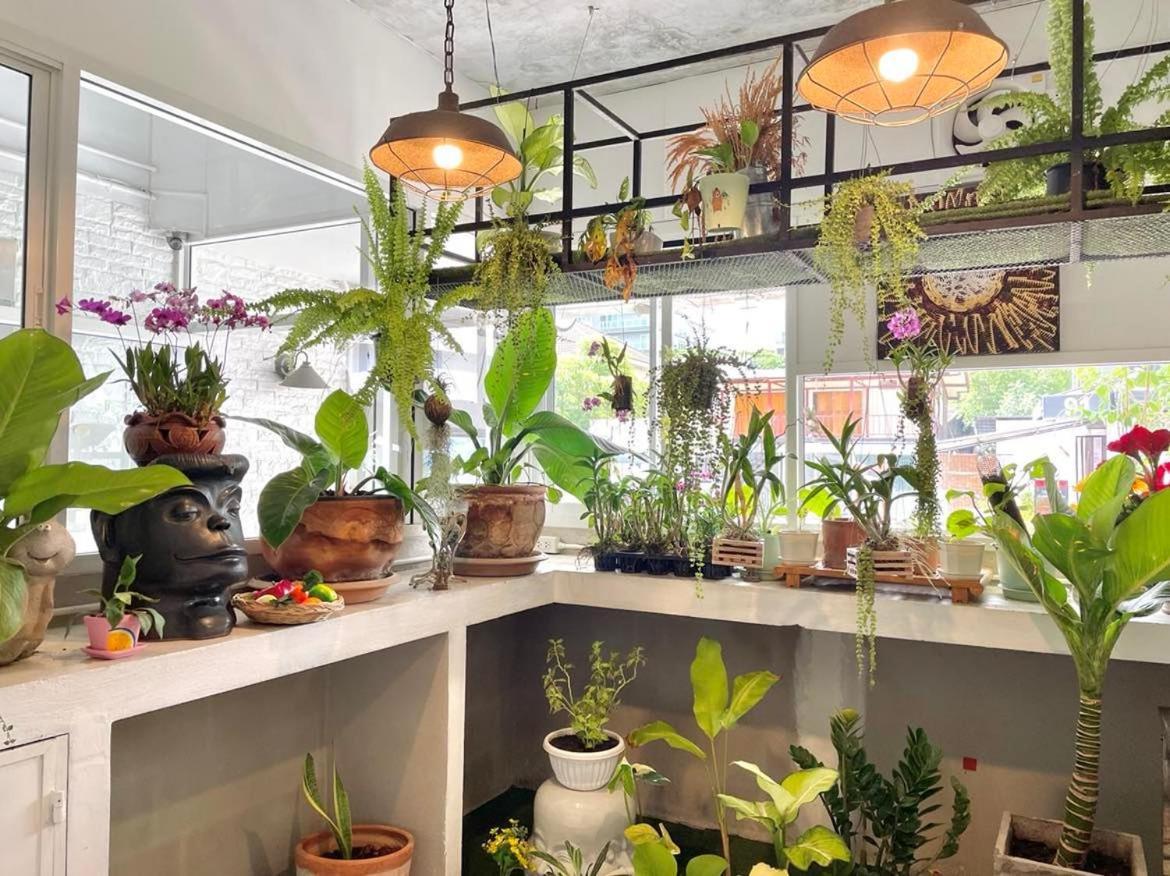 Villa Cafe Chiang Mai