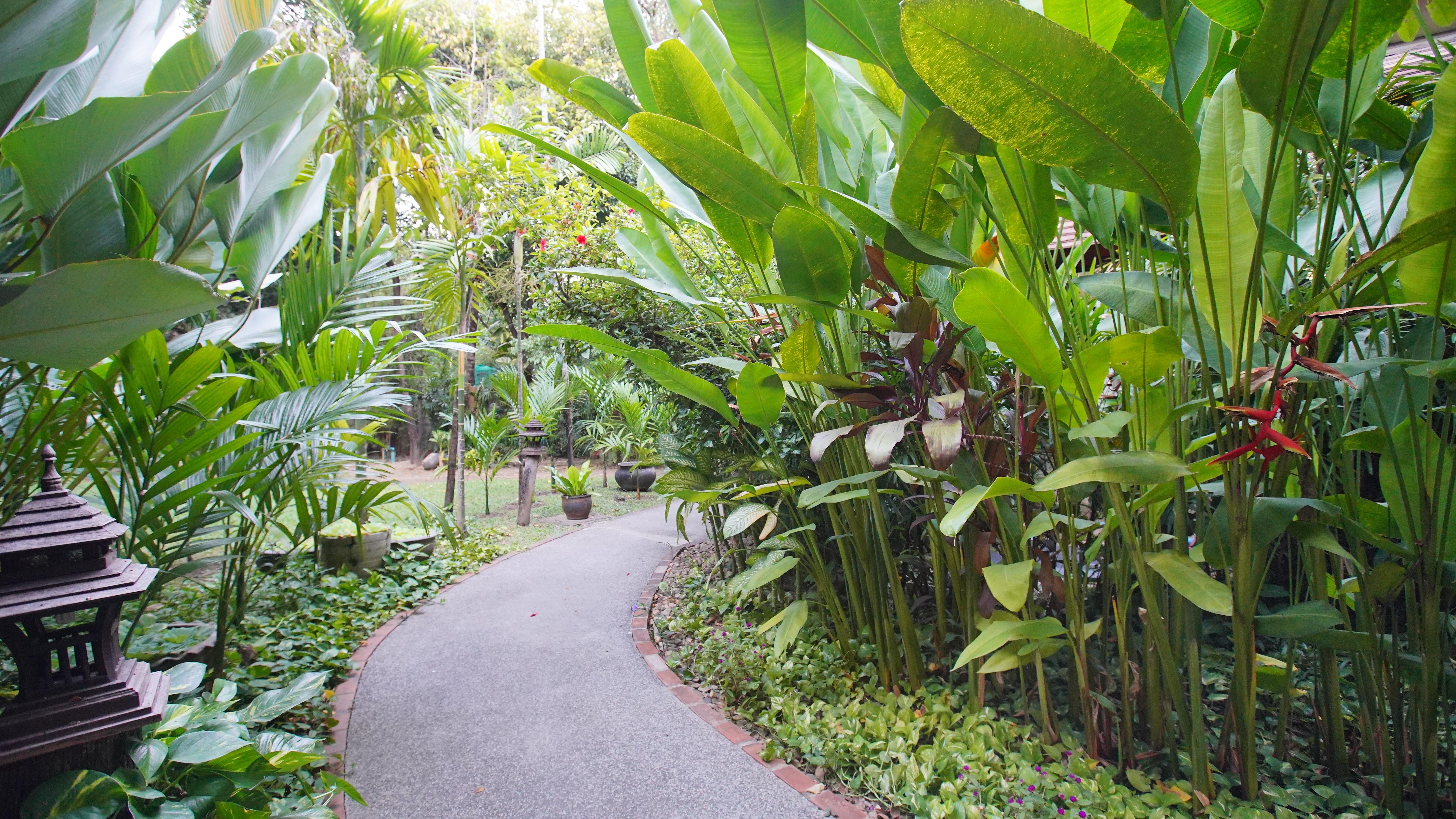 Yaang Come Village - Sha Extra Plus Chiang Mai