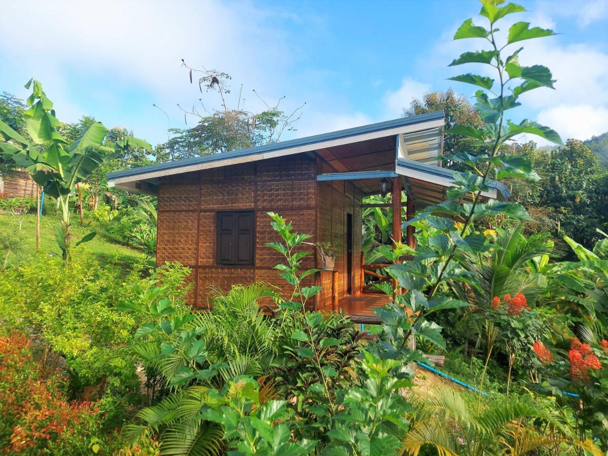 Guest house True Nature - Yoga & Meditation Homestay Retreat Chiang Mai