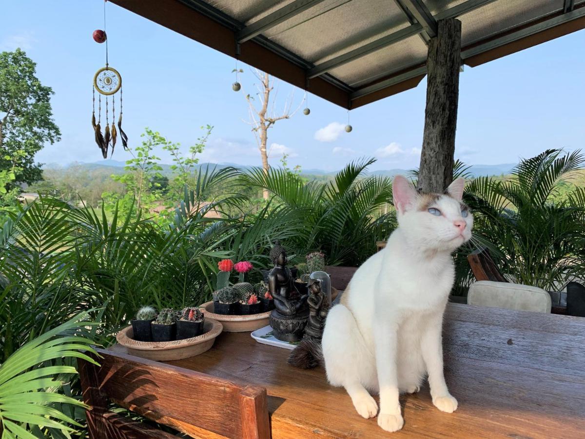 Guest house True Nature - Yoga & Meditation Homestay Retreat *