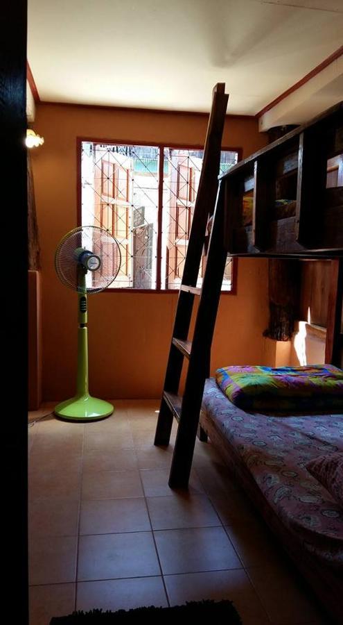Cactus Hostel *