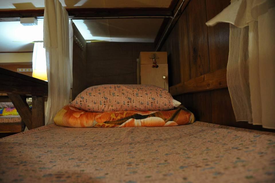 Hostel Cactus *