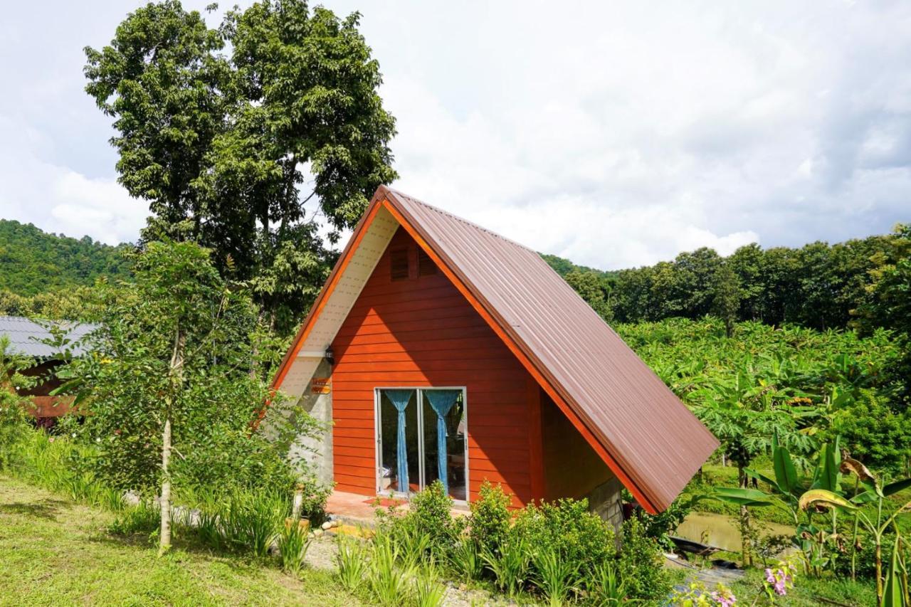 True Nature - Yoga & Meditation Homestay Retreat Chiang Mai
