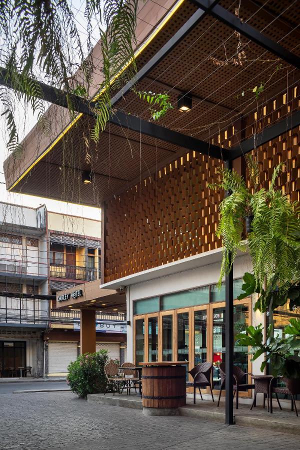 Darley Chiangmai 3*