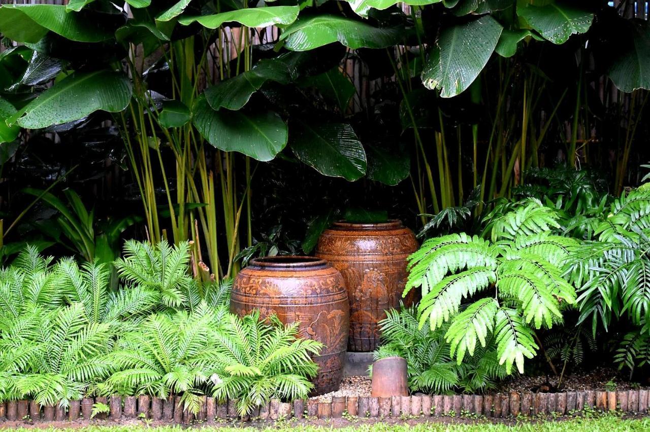 Resort Rachamankha Chiang Mai