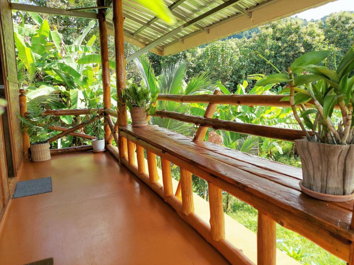 True Nature - Yoga & Meditation Homestay Retreat Guest house Chiang Mai