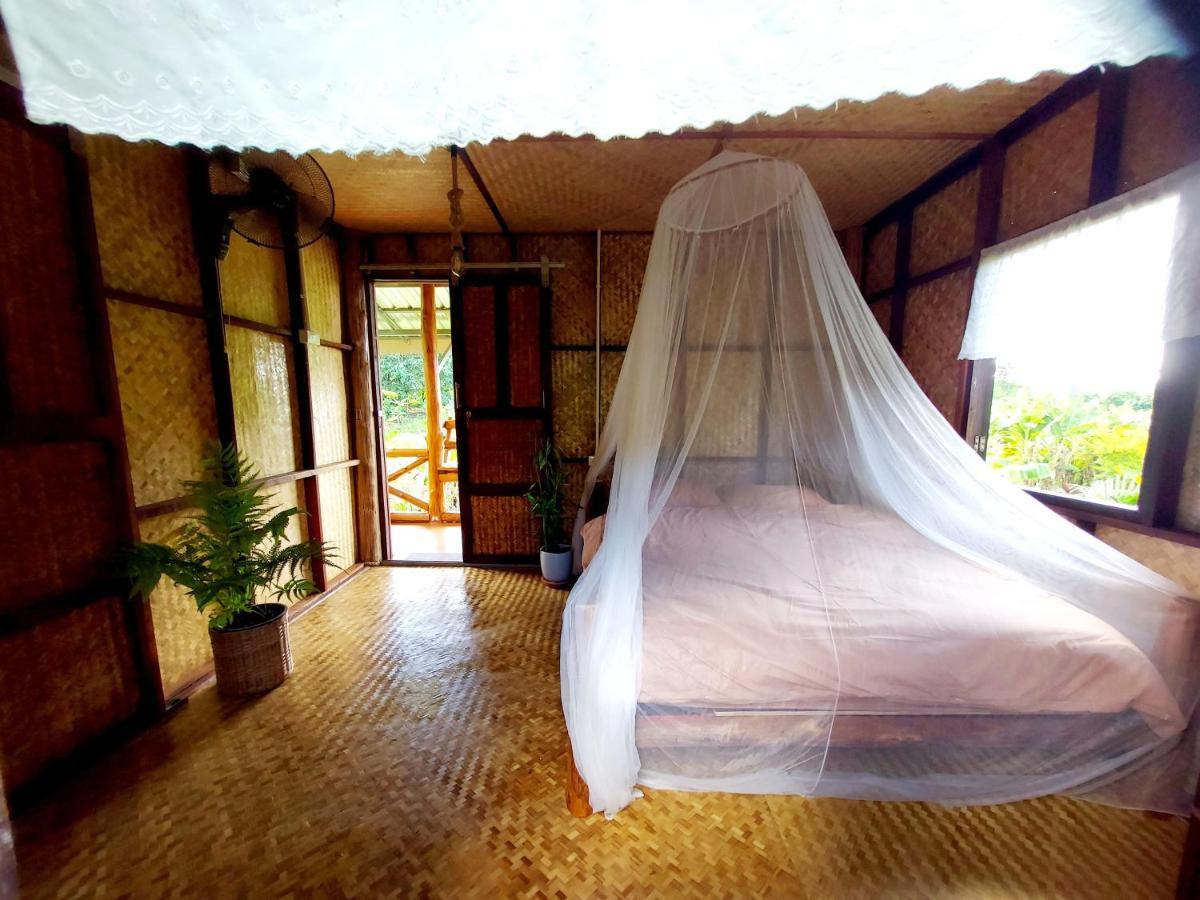True Nature - Yoga & Meditation Homestay Retreat Chiang Mai