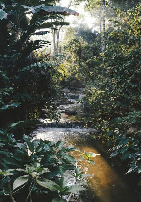Whispering Waterfalls Cabin Bahay bakasyunan
