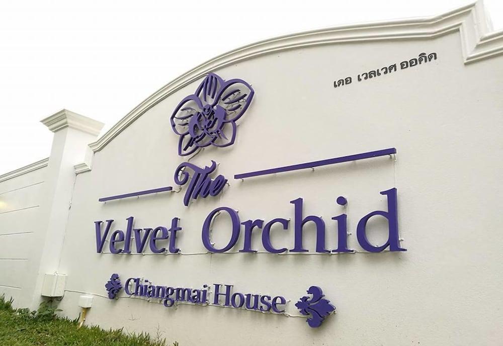 The Velvet Orchid Hotel Chiang Mai