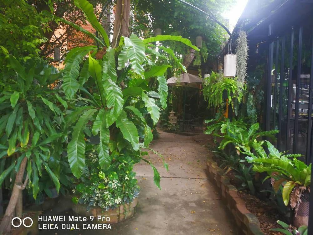The Nimman - Sha