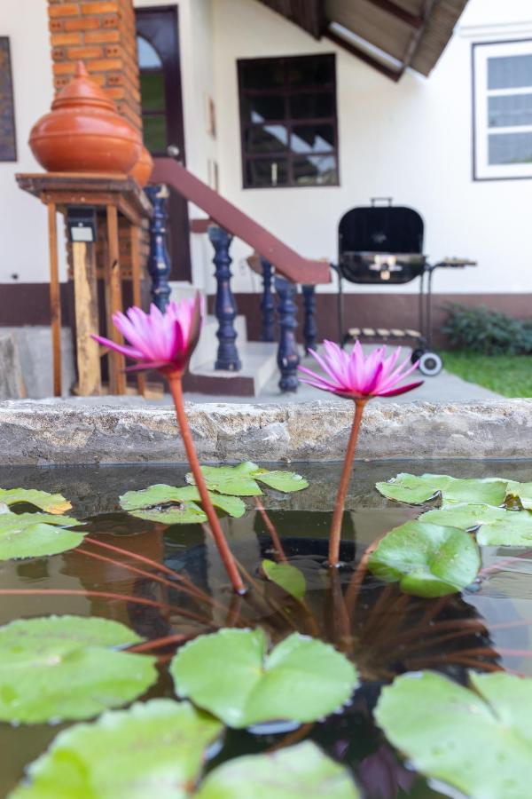 Cnx House *