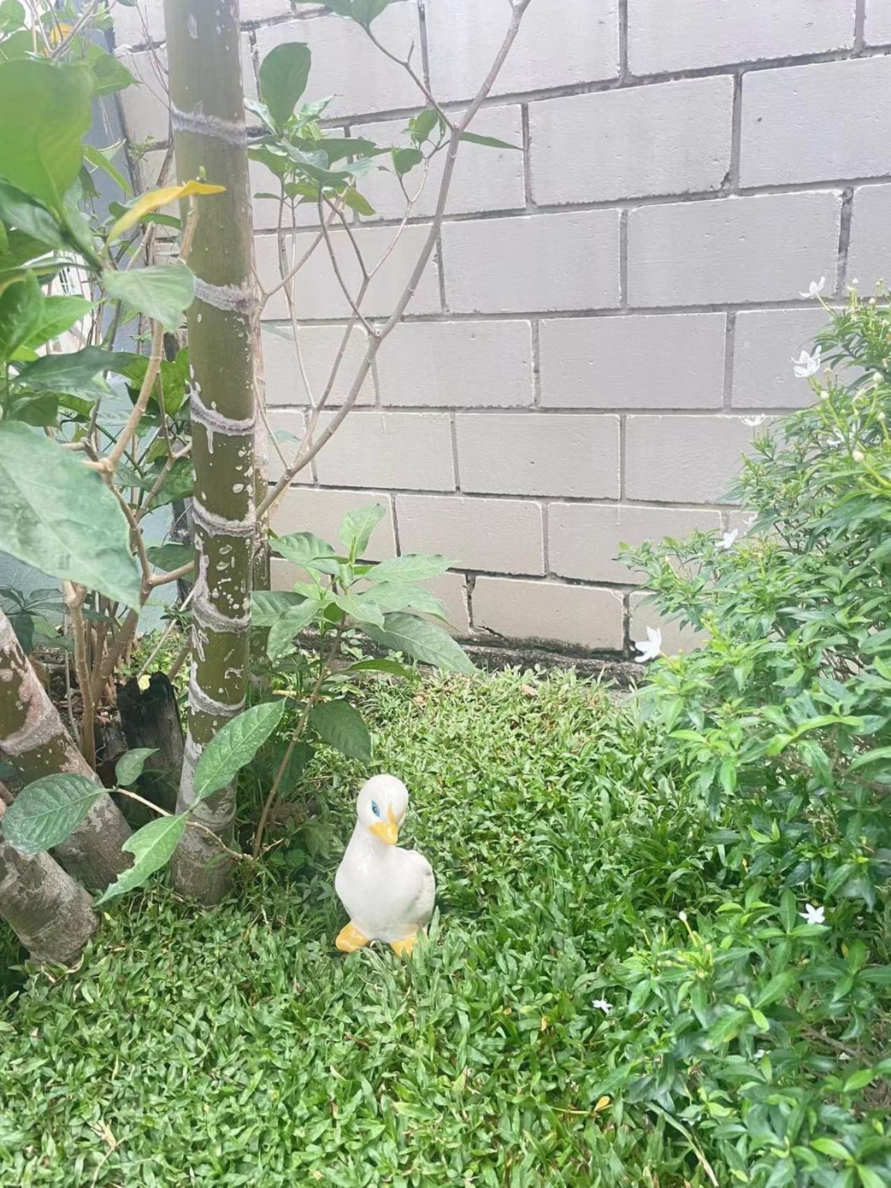 Homestay Booming House 清迈布鸣别墅 Chiang Mai