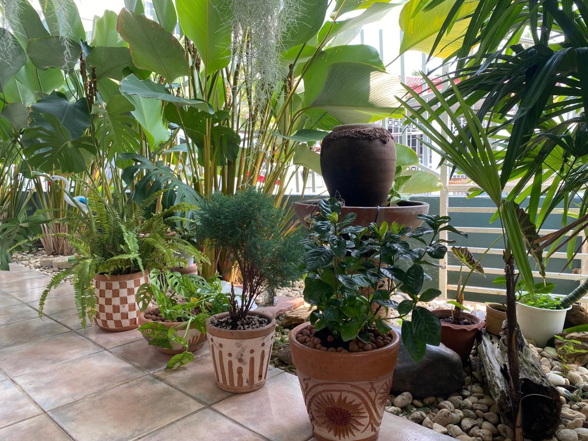 Booming House 清迈布鸣别墅 Homestay *