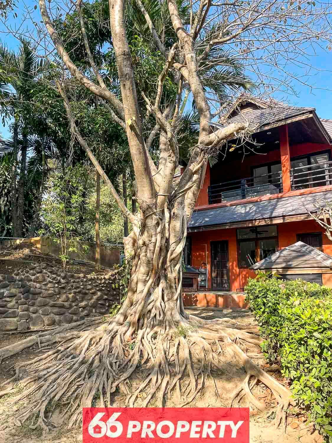 Bahay bakasyunan The One