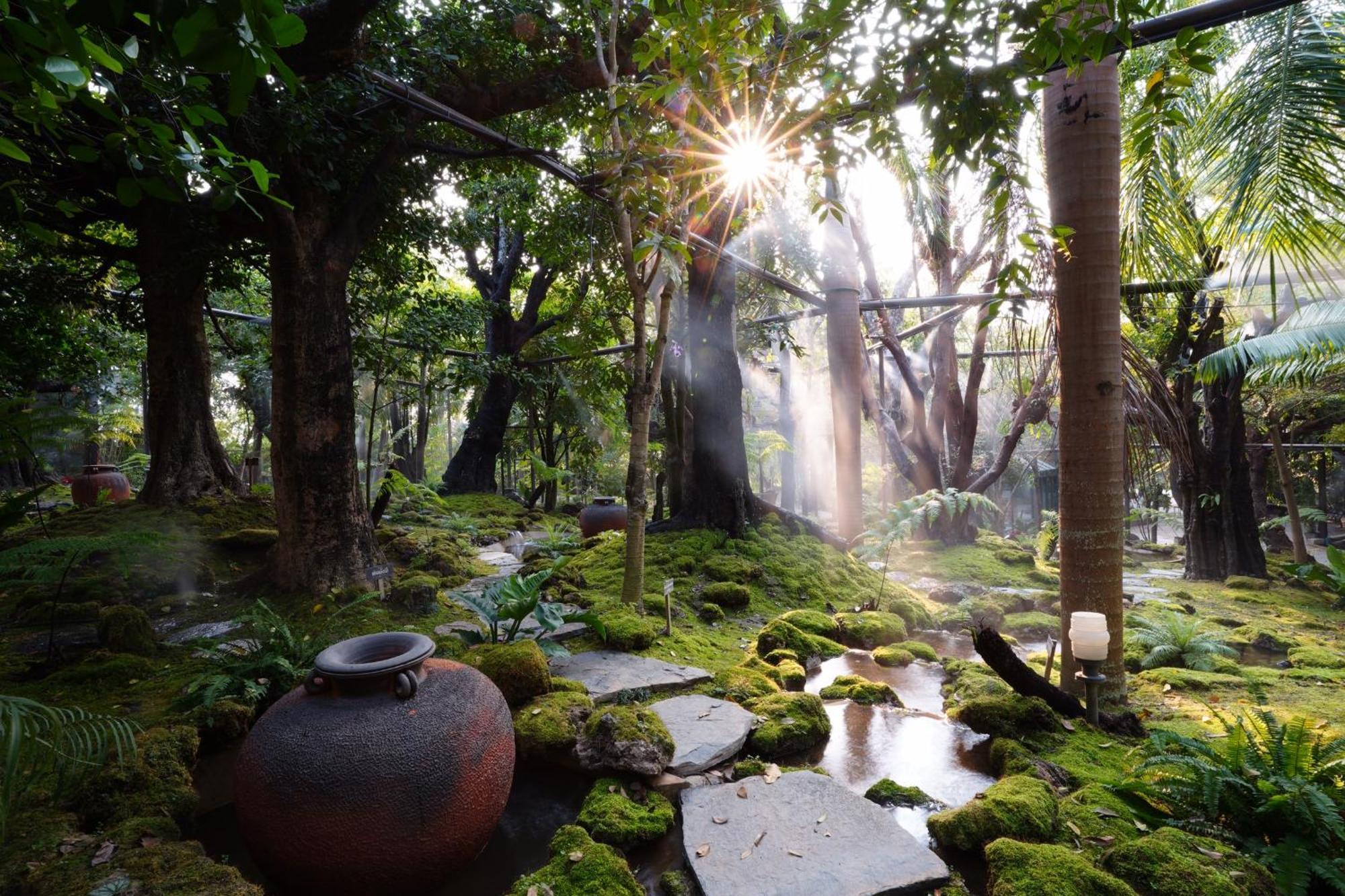 Treescape Chiangmai Chiang Mai