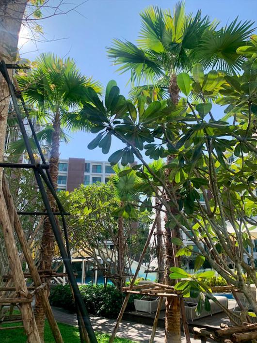 Hotel Waterpark