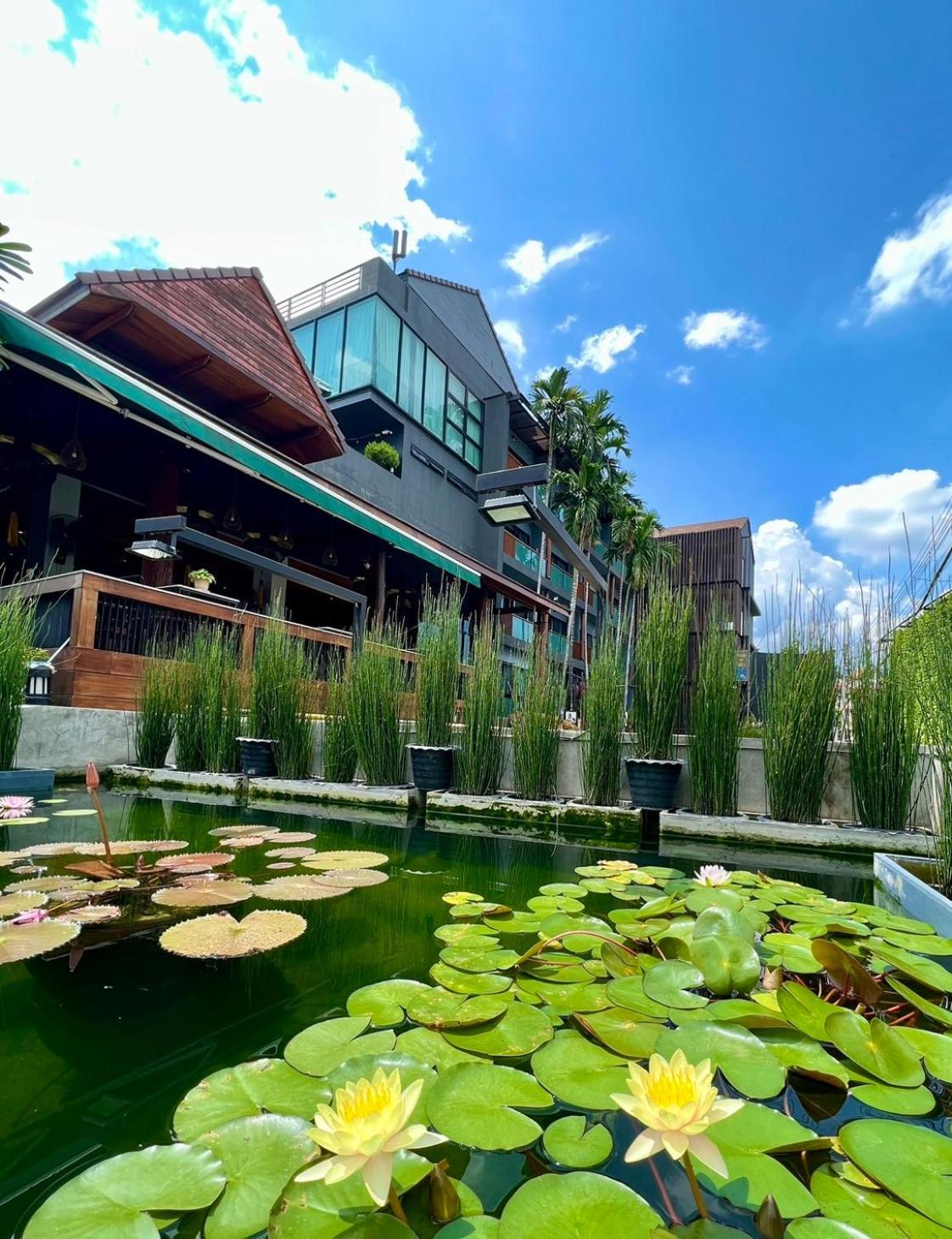 Hotel Le Naview @prasingh Chiang Mai
