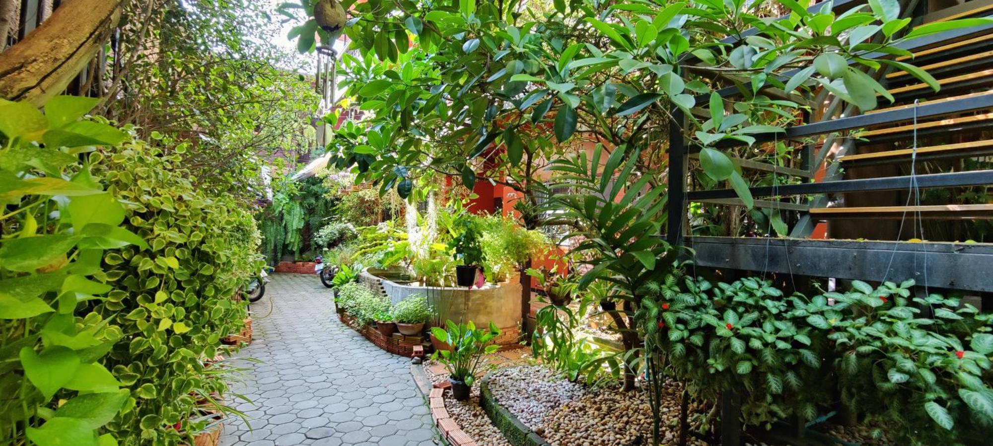 Hoh Casa de hóspedes Chiang Mai