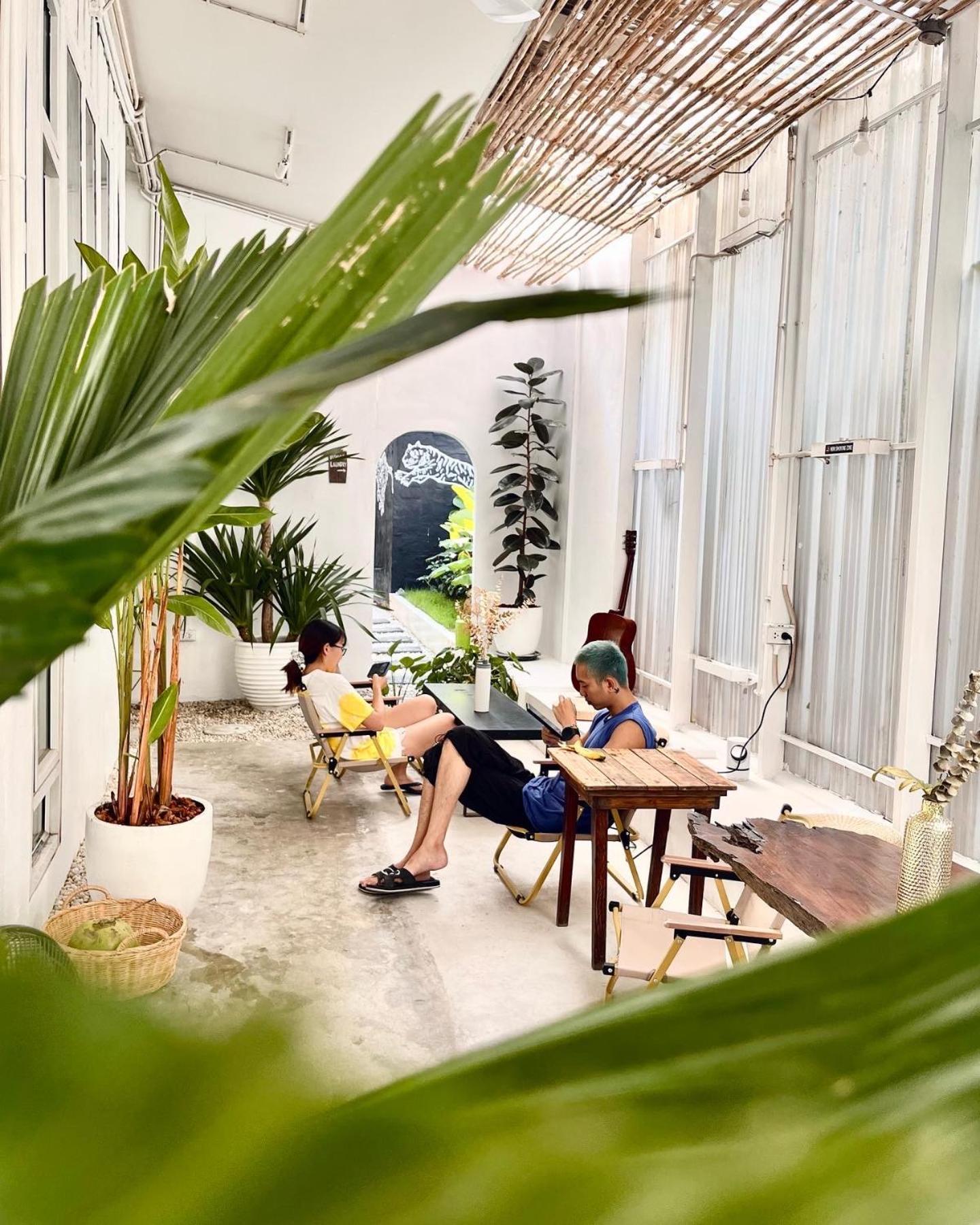 Hostel The Park Society *