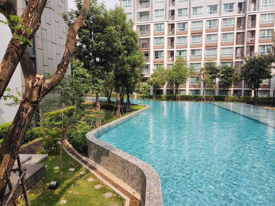 D Ping: Amazing Swimming Pool, Festival