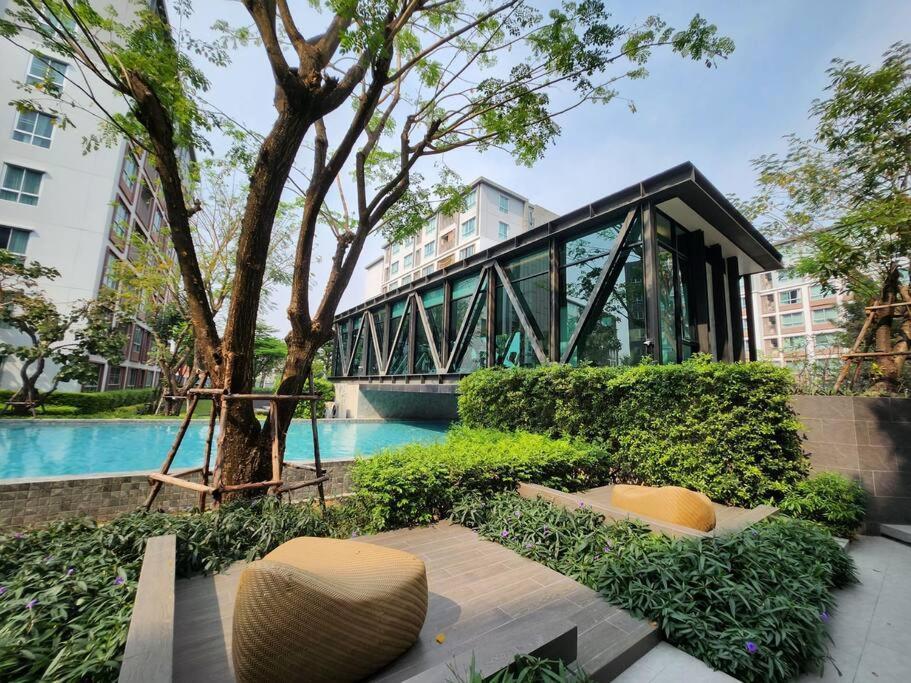 D Ping: Amazing Swimming Pool, Festival * Chiang Mai