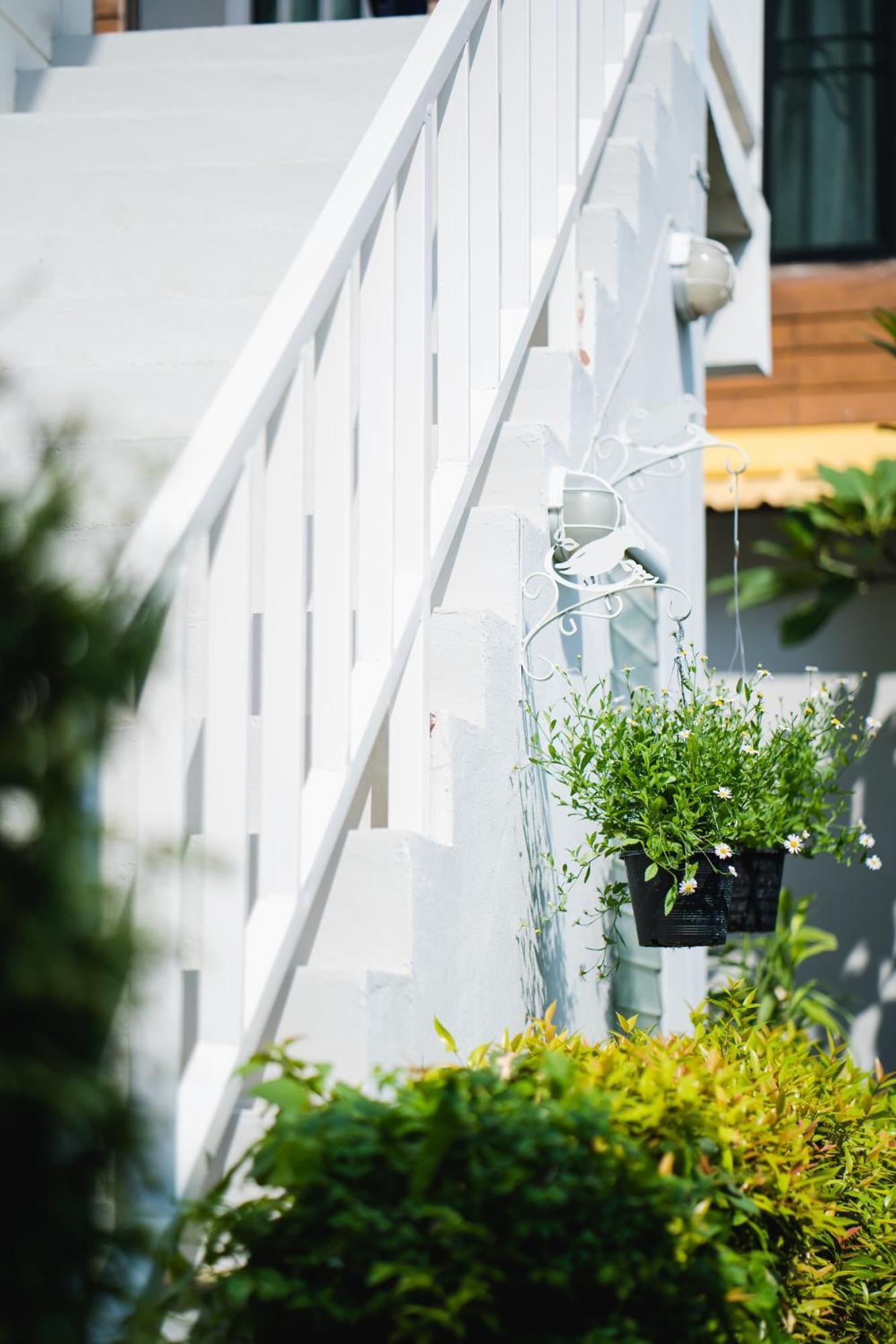 Sabuy Chiangmai Guest house 2*