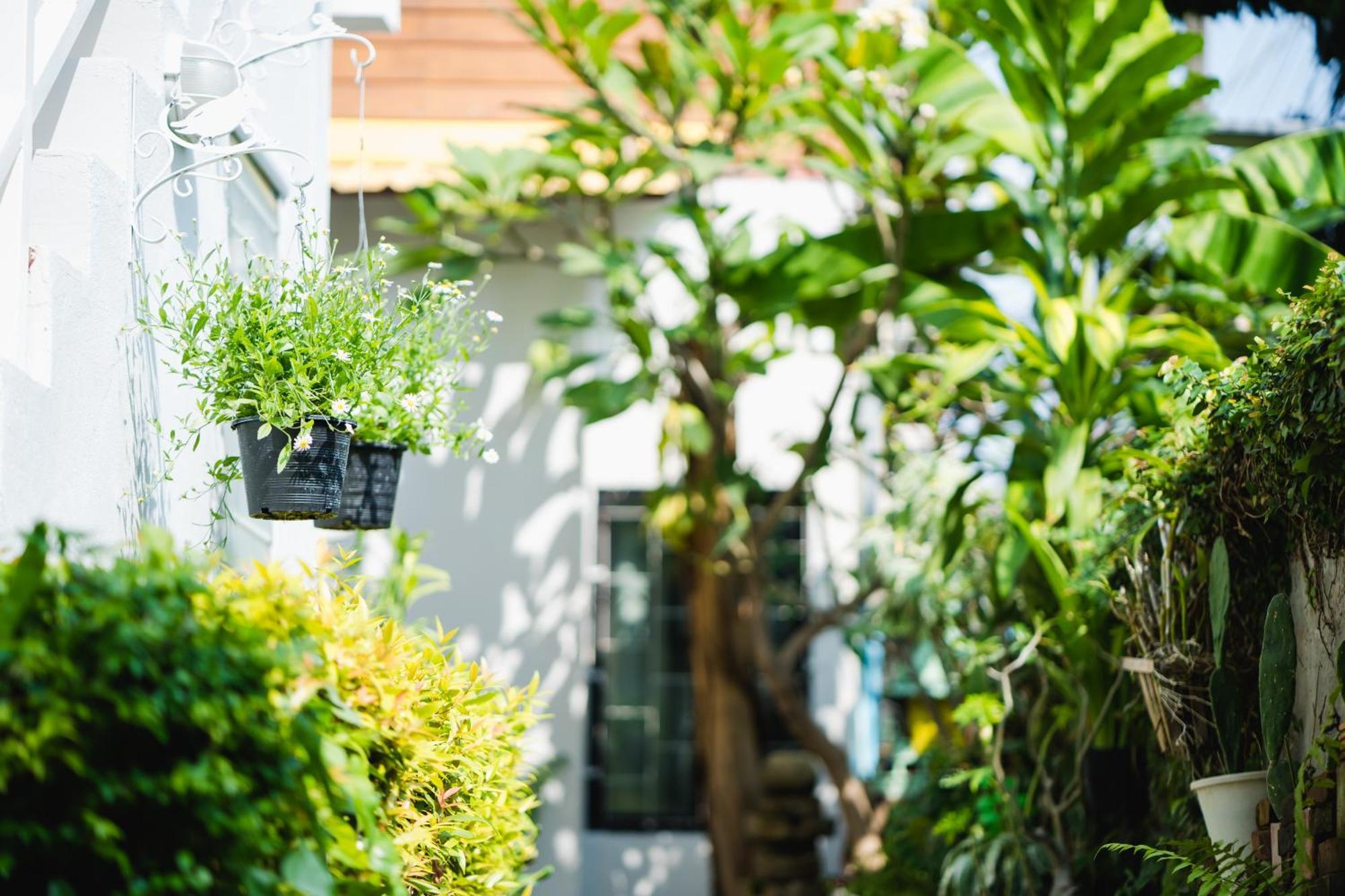 Sabuy Chiangmai Guest house