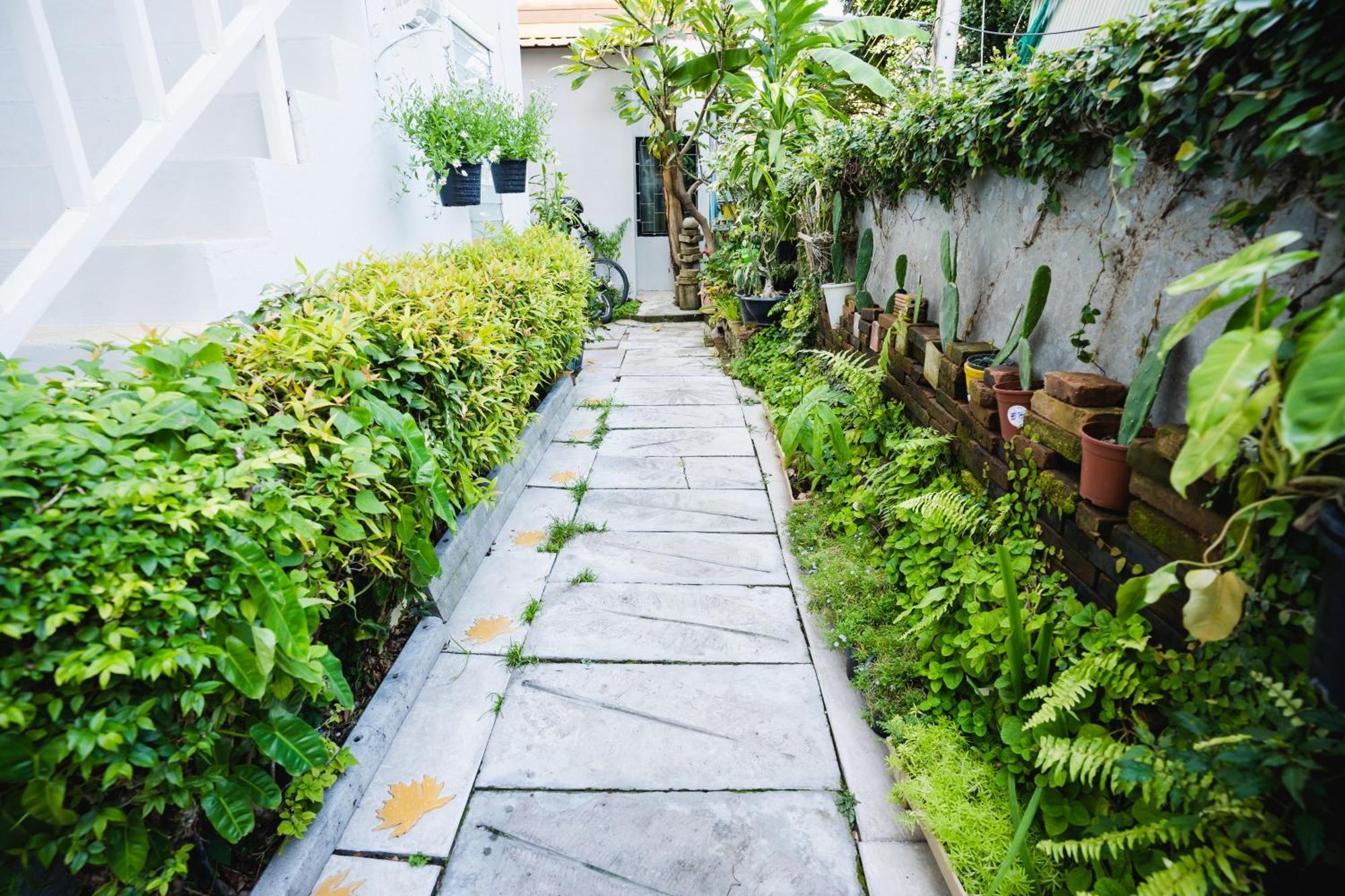 Guest house Sabuy Chiangmai 2*