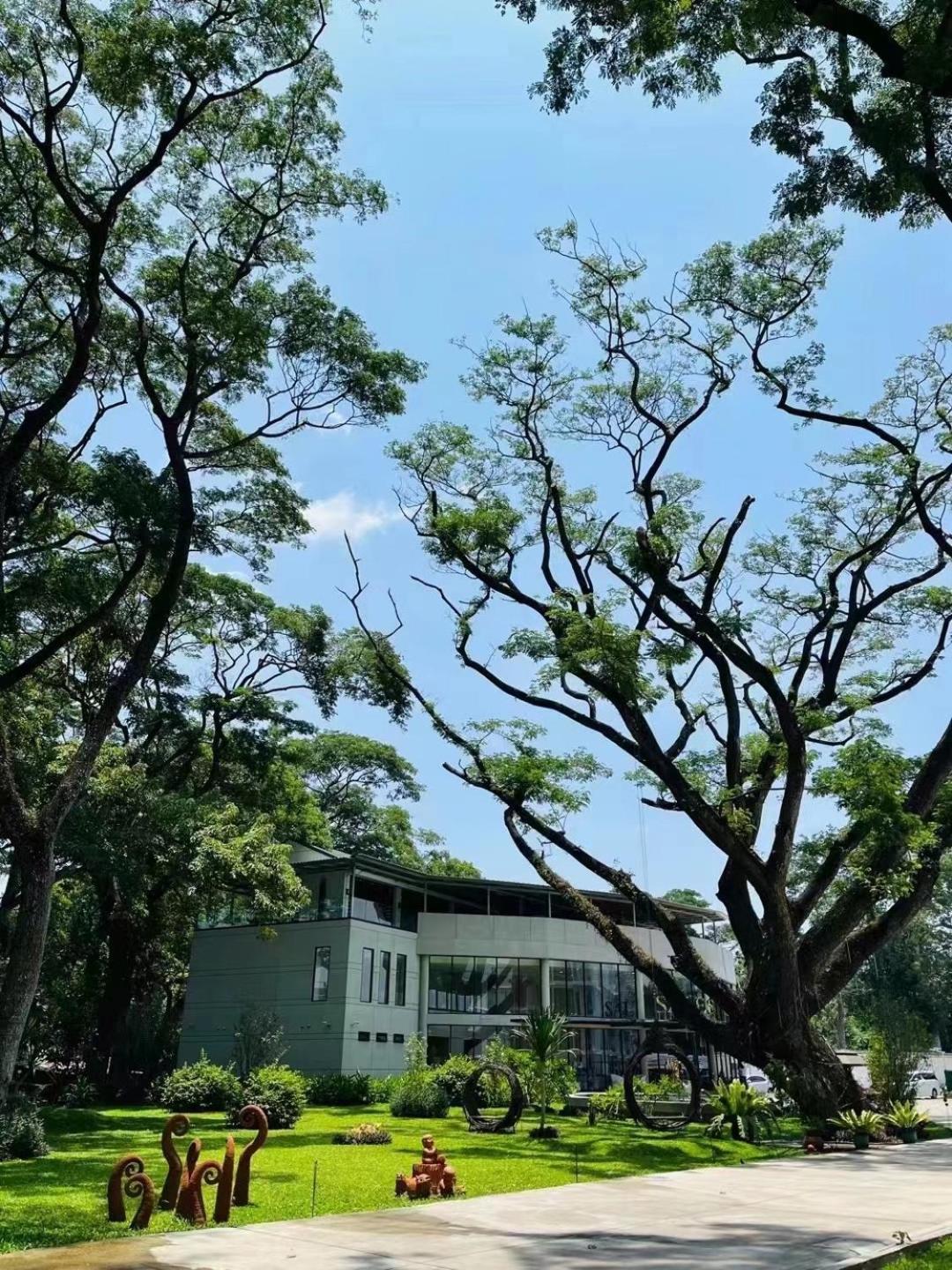 Pangsapuri 清迈一号公寓泳池环绕 Chiang Mai