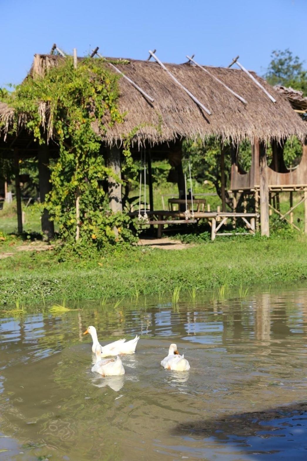 Casa de férias Hang Tueng Farm แฮงตึง Chiang Mai