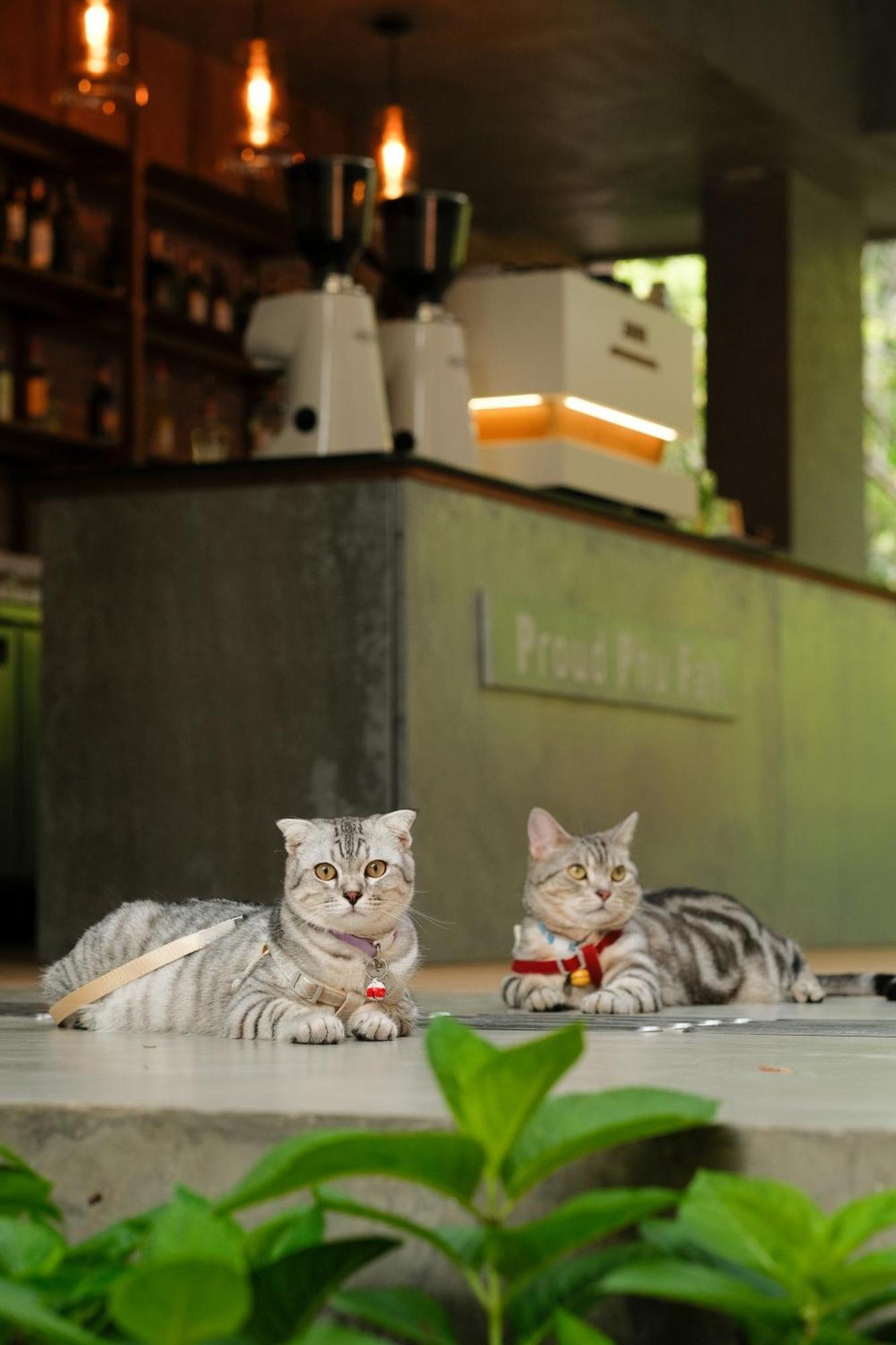 Proud Phu Fah Muang Chiang Mai
