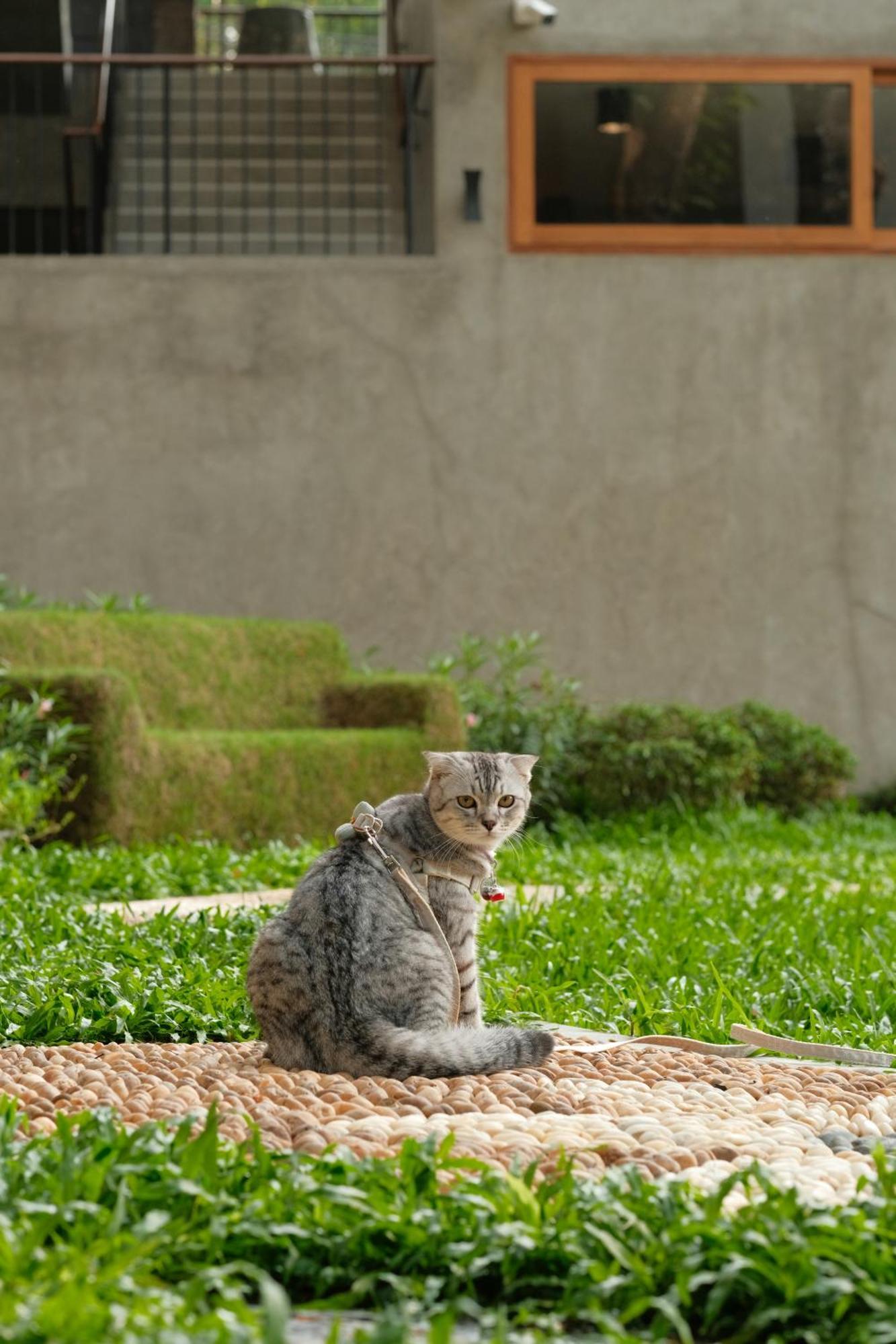 Proud Phu Fah Muang Chiang Mai