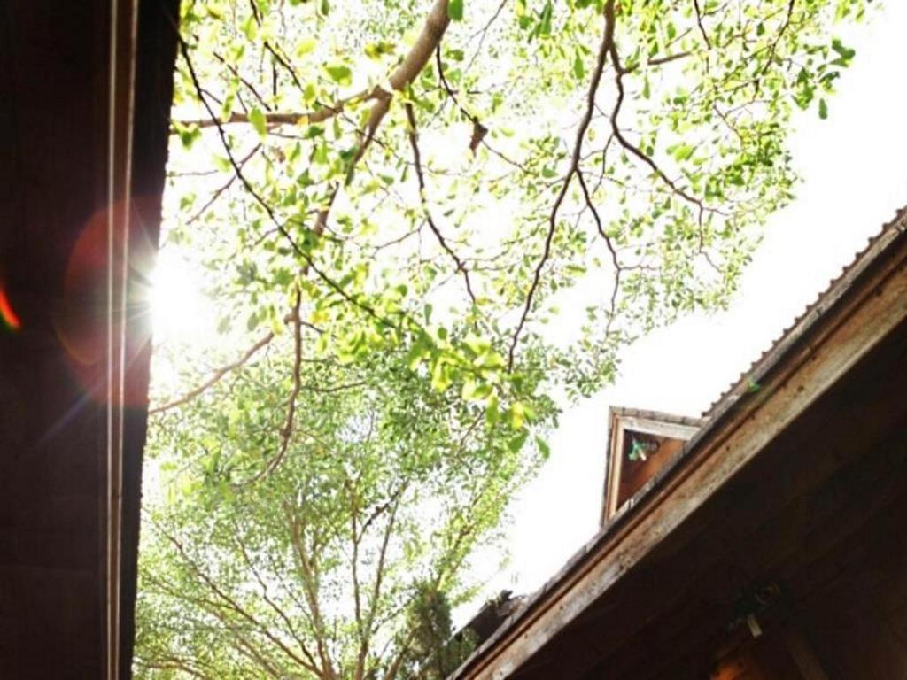 Loghome Boutique Chiang Mai